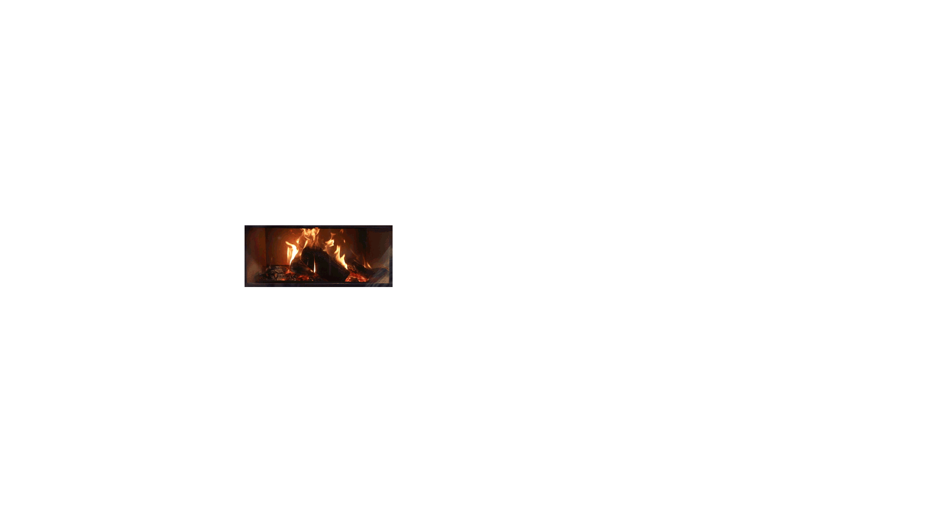 Escea TFS1000 Freestanding Wood Fireplace animated